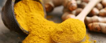 haldi powder supplier